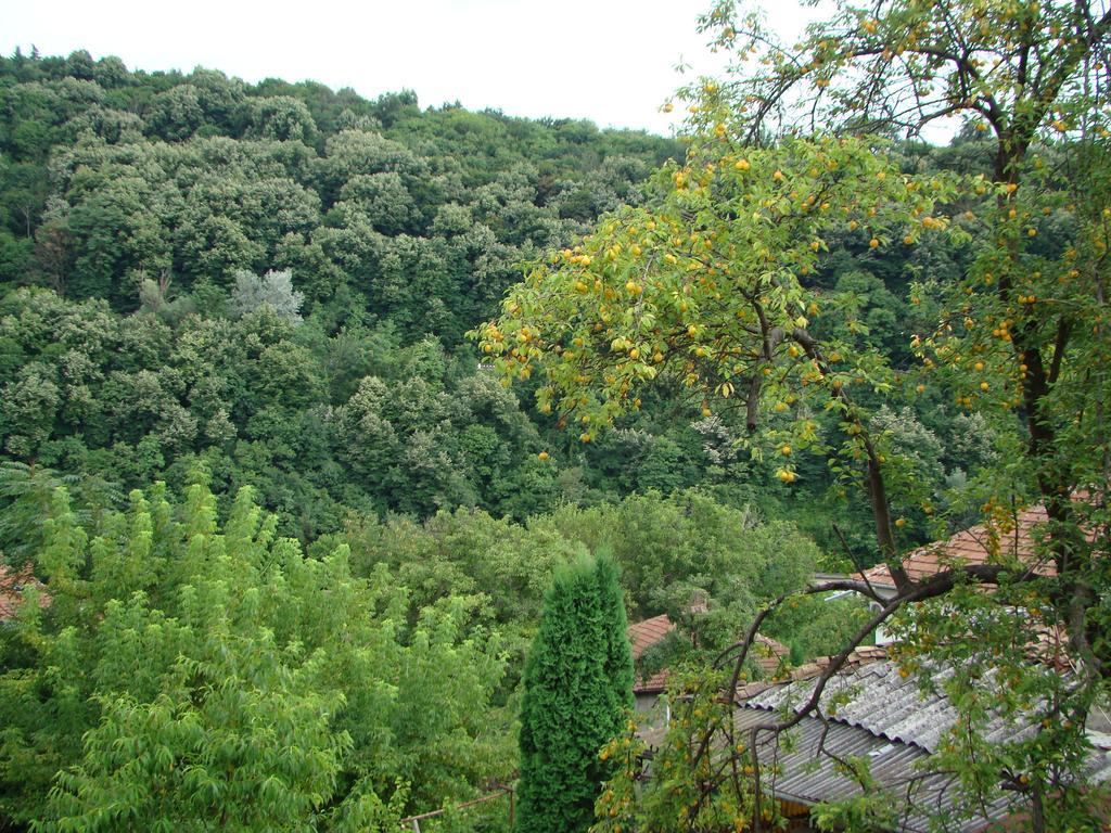 Guest House Selin Veliko Tarnovo Exterior photo
